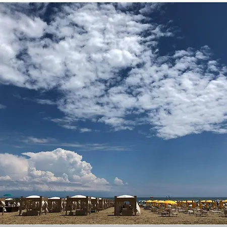 Grand Playa Hotel 4*